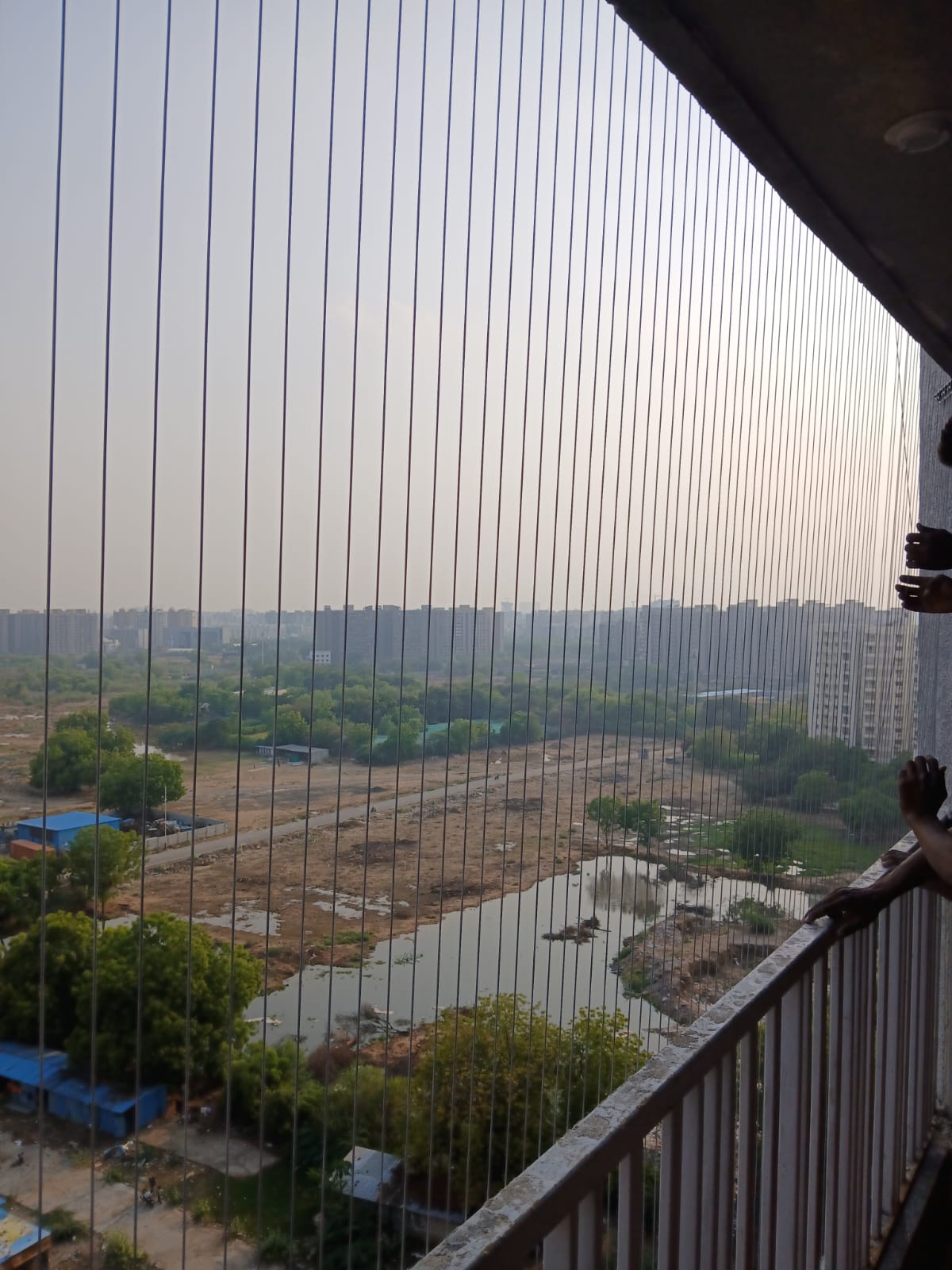 Professional bird net installation