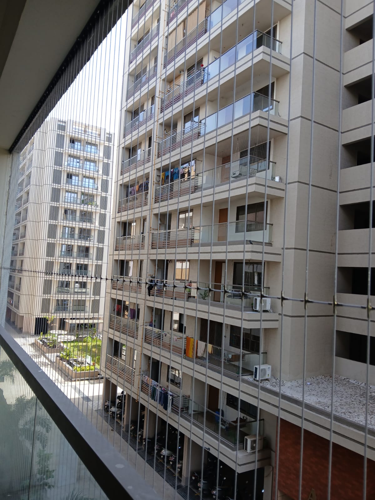 Commercial bird control installation
